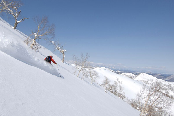 ���샊�]�[�g �g�}���X�L�[��