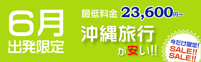 6月出発限定!格安沖縄旅行