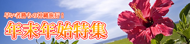 NNn̉ꗷs