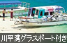 ジンベエザメ