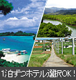 八重山フリープラン